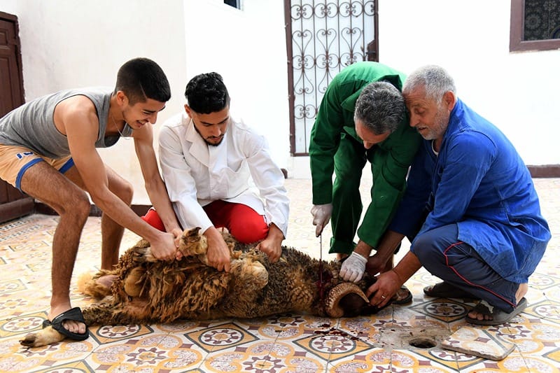 Rituel du sacrifice de l'Aïd Al Adha dans une famille marocaine